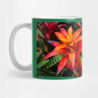 Bromeliad Flower - San Diego Mug